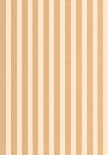 Papier  Peint Bold Line Caselio