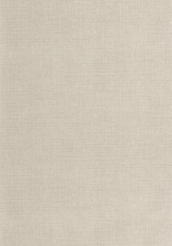 Papier  Peint Raphia Caselio