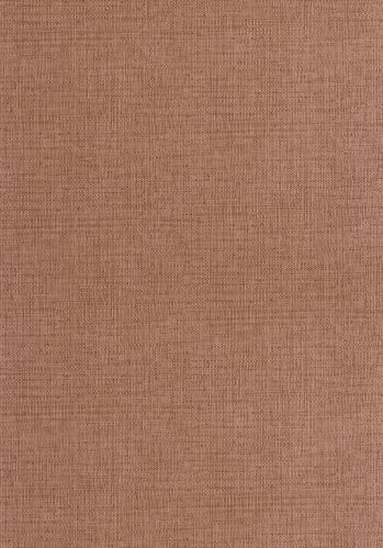 Papier  Peint Raphia Caselio