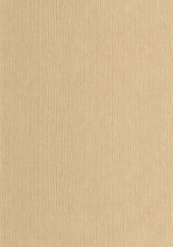 Papier  Peint Sisal Caselio