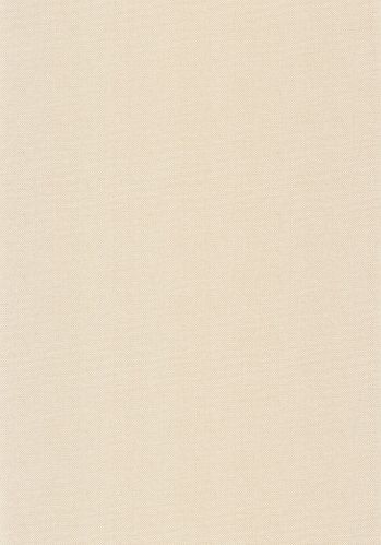 Papier  Peint Uni Natte Metallises Caselio