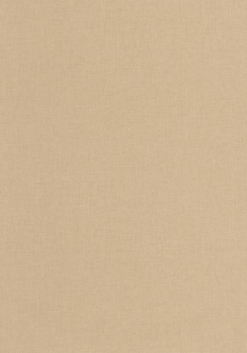 Echantillon Papier Peint Uni Mat Caselio