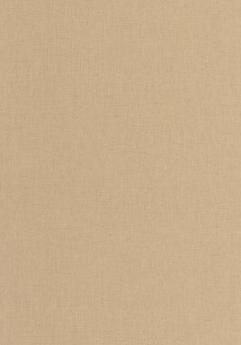 Echantillon Papier Peint Uni Mat Caselio