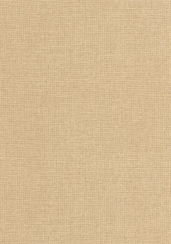 Echantillon Papier Peint Uni Mat Caselio
