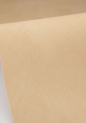 Papier  Peint Uni Caselio