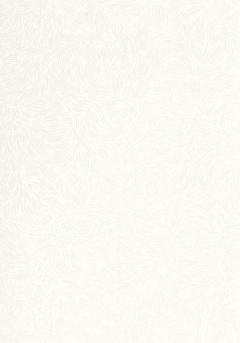 Papier  Peint Storm Caselio