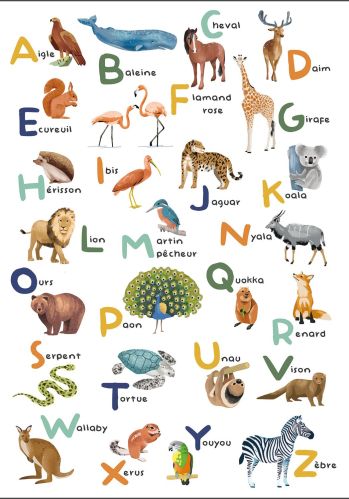 Panoramique Apprenons L Alphabet 200x280 Caselio