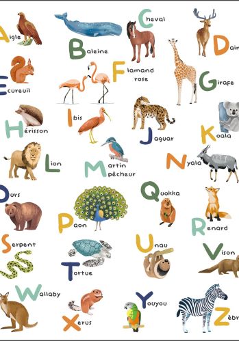 Panoramique Apprenons L Alphabet 200x250 Caselio