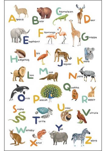 Panoramique Let S Learn The Alphabet 200x310 Caselio