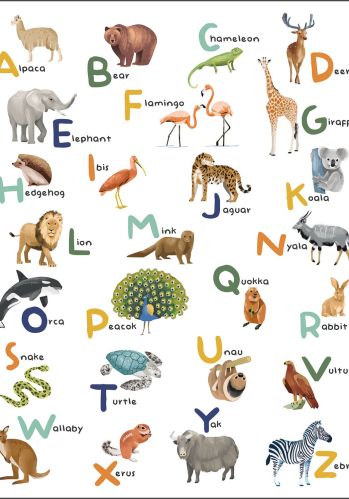 Panoramique Let S Learn The Alphabet 200x250 Caselio
