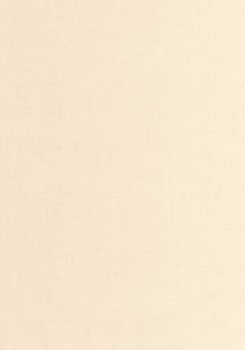 Papier  Peint Uni Mat Caselio