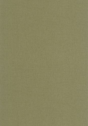 Papier  Peint Uni Mat Caselio