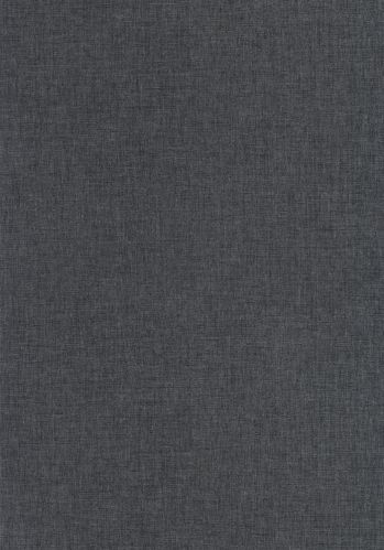 Papier  Peint Uni Mat Caselio