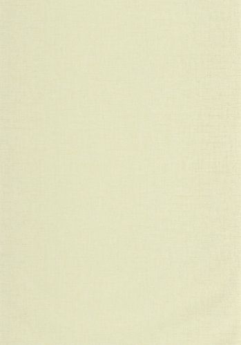 Papier  Peint Uni Metallise/irise Caselio