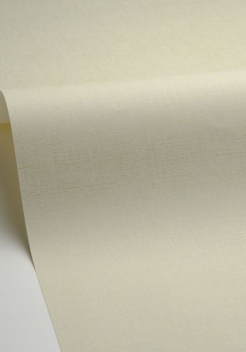 Papier  Peint Uni Metallise/irise Caselio