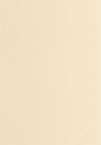 Papier  Peint Uni Mat Caselio