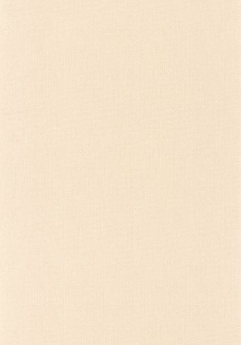Echantillon Papier Peint Uni Natte Caselio