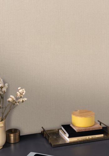 Papier  Peint Uni Mat Caselio