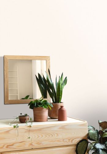 Papier  Peint Uni Mat Caselio