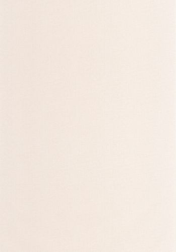 Echantillon Papier Peint Uni Natte Caselio
