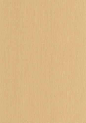 Echantillon Papier Peint Uni Natte Caselio