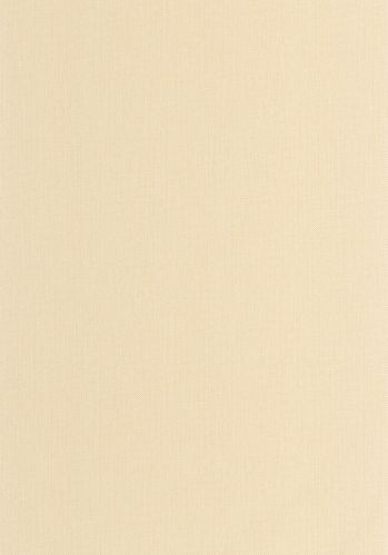 Echantillon Papier Peint Uni Natte Caselio