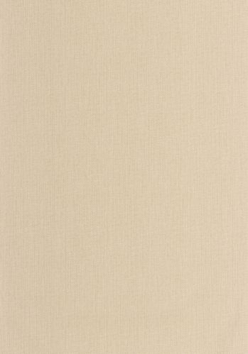 Papier  Peint Uni Mat Caselio