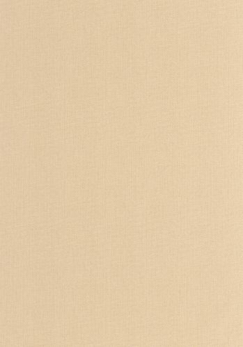 Echantillon Papier Peint Uni Natte Caselio