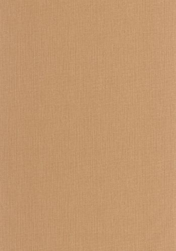 Echantillon Papier Peint Uni Natte Caselio