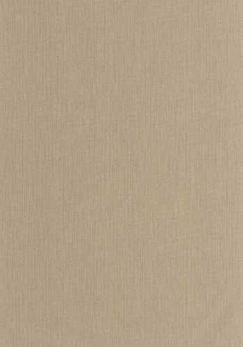Echantillon Papier Peint Uni Natte Caselio