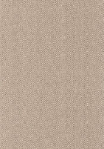 Papier  Peint Uni Mat Caselio