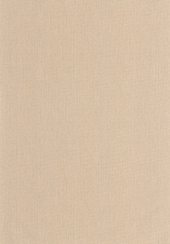 Echantillon Papier Peint Uni Natte Caselio