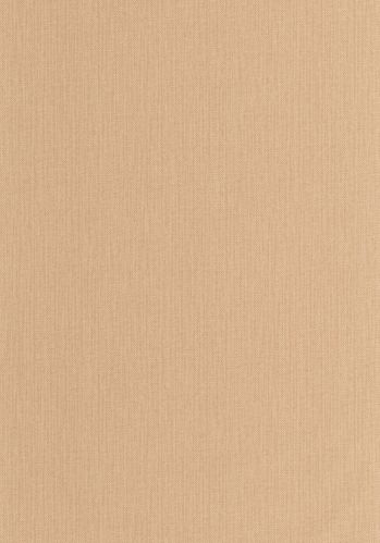 Papier  Peint Uni Mat Caselio