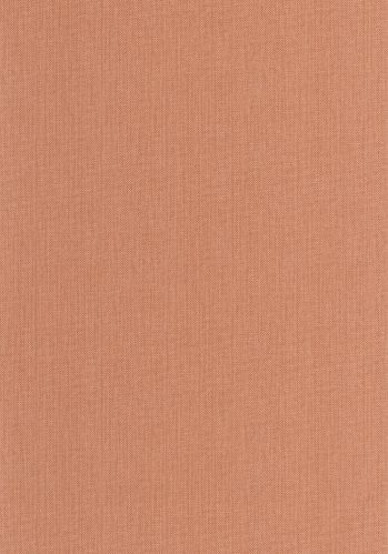 Papier  Peint Uni Mat Caselio