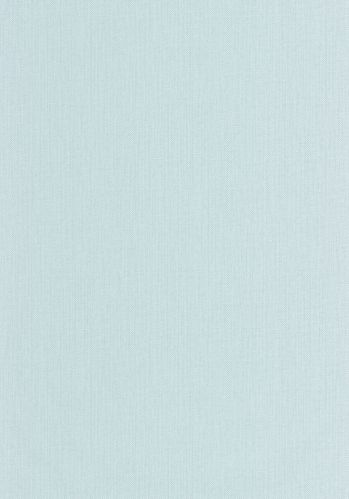 Papier  Peint Uni Mat Caselio