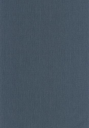 Papier  Peint Uni Mat Caselio