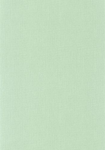 Papier  Peint Uni Mat Caselio