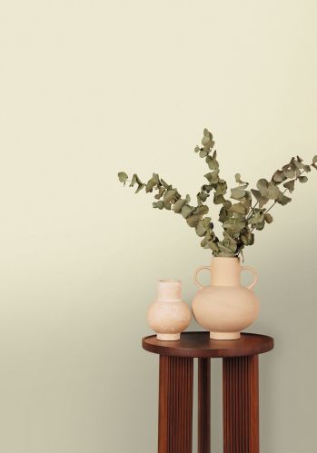 Papier  Peint Uni Mat Caselio