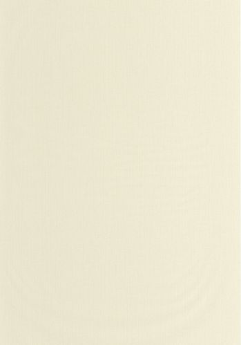 Papier  Peint Uni Mat Caselio