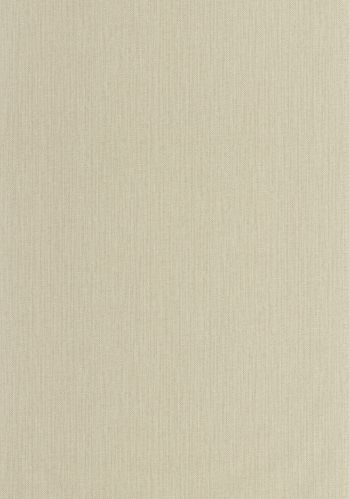 Papier  Peint Uni Mat Caselio