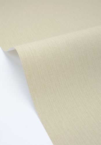 Papier  Peint Uni Mat Caselio