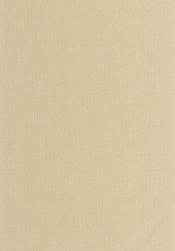 Papier  Peint Uni Mat Caselio