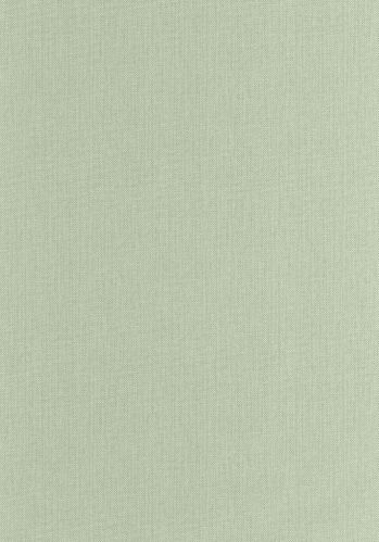 Papier  Peint Uni Mat Caselio