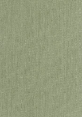 Papier  Peint Uni Mat Caselio