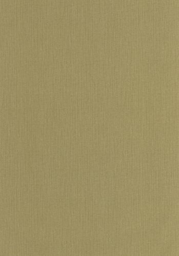 Papier  Peint Uni Mat Caselio