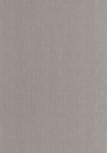 Papier  Peint Uni Mat Caselio