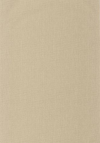 Papier  Peint Uni Metallise Caselio