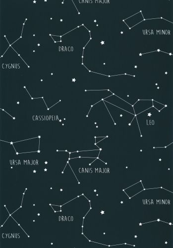 Echantillon Papier Peint Our Planet Constellations Caselio