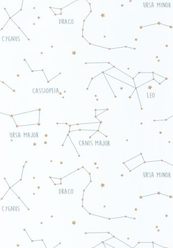 Papier  Peint Our Planet Constellations Caselio