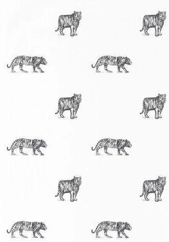 Echantillon Papier Peint Our Planet Eye Of The Tiger Caselio